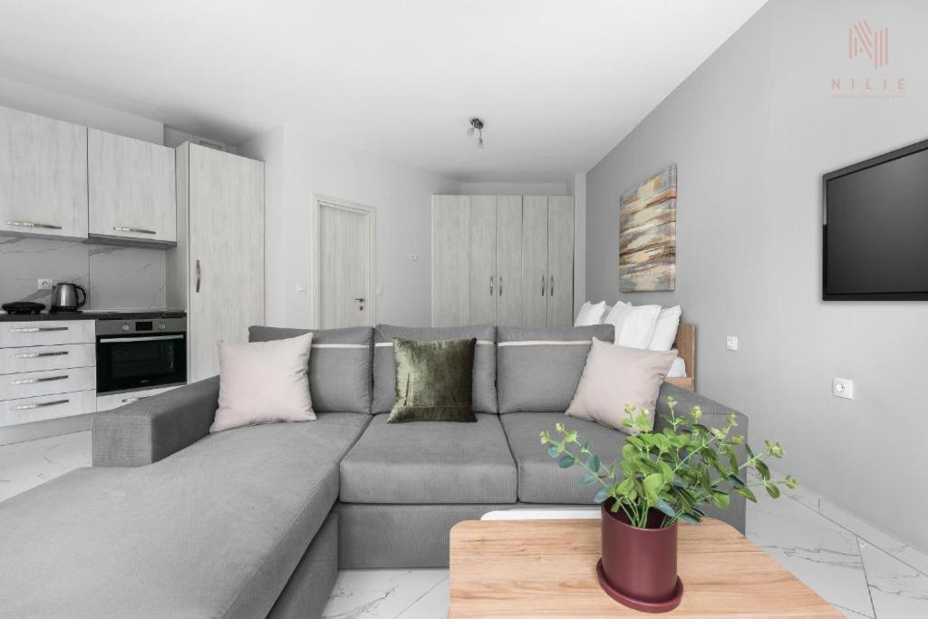 Apartment Avenue & Apartments, Nilie Hospitality Mgmt